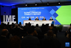 IMF warns that the war in the Middle East poses challenges t